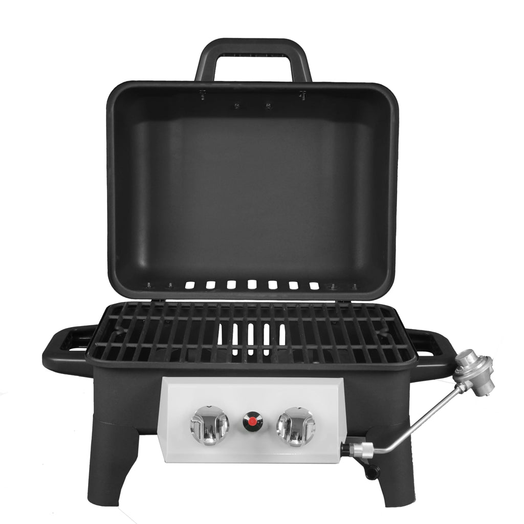 2 Burner Portable Propane Gas Grill B89125