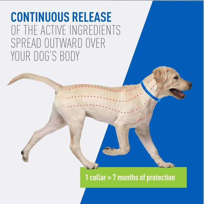 Flea & Tick Collar for Dogs L1042
