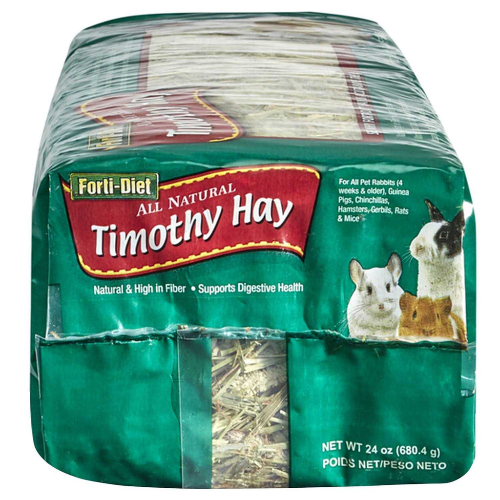 Timothy Hay O2930