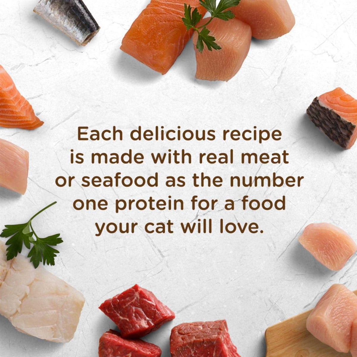 Wet Cat Food Variety Pack J9898