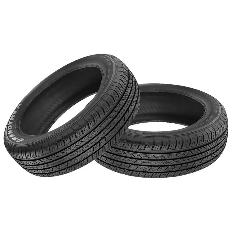 225/65R17 102H All-Season Tire D259