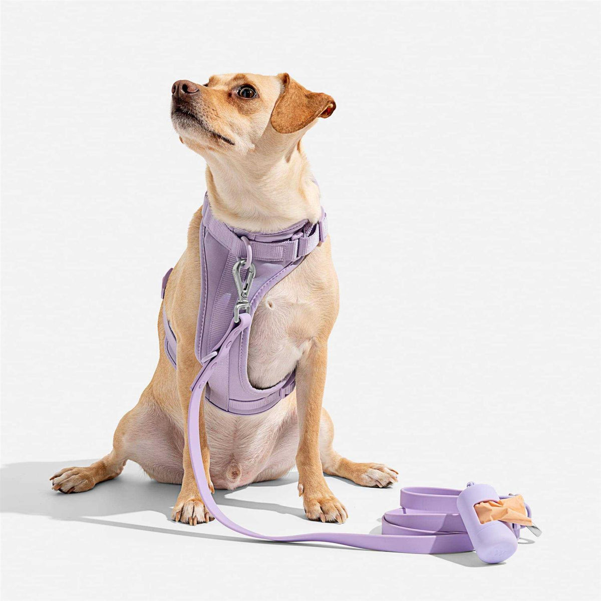 Dog Harness F5671