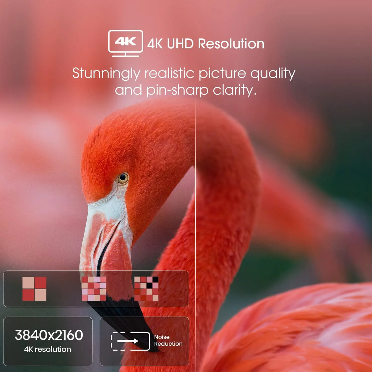 50-Inch 4K UHD Google Smart TV U24263
