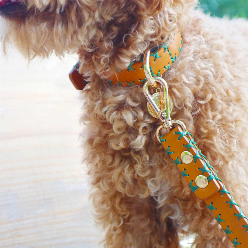 Handcrafted Standard Dog Collar Y662754