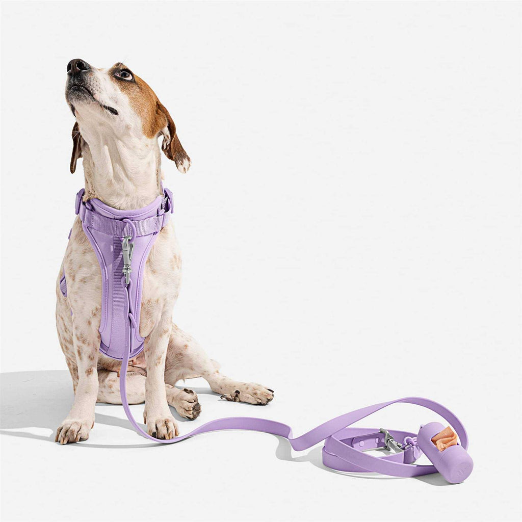Dog Harness F5671