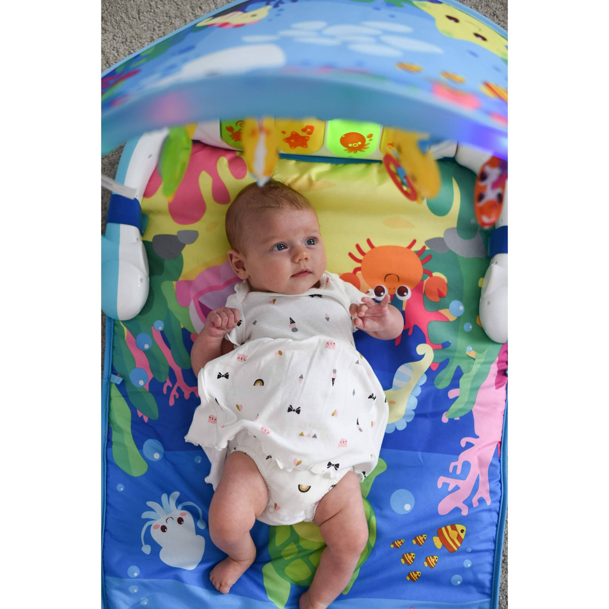 Magic Lights and Musical Play Gym D570