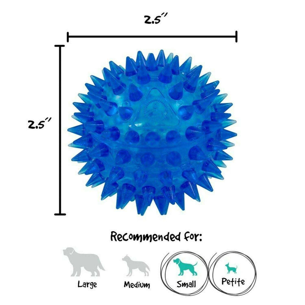 Squeaker Ball Dog Toy J95112