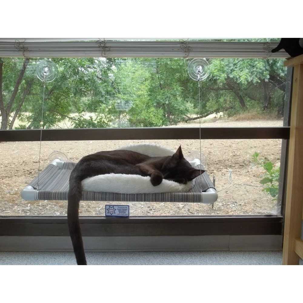 Cat Perch U80631