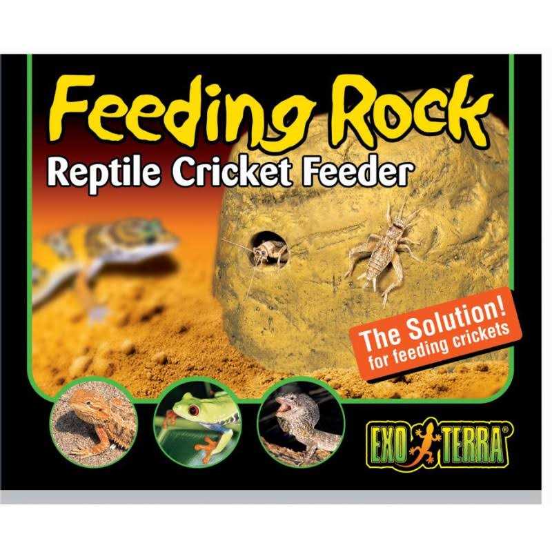 Feeding Rock Reptile Feeder I470