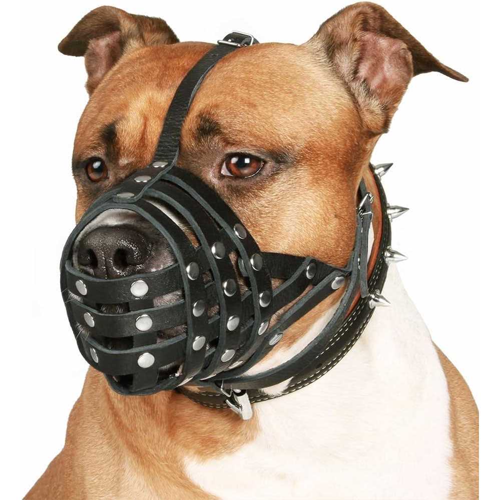 Dog Muzzle Genuine Leather O981581