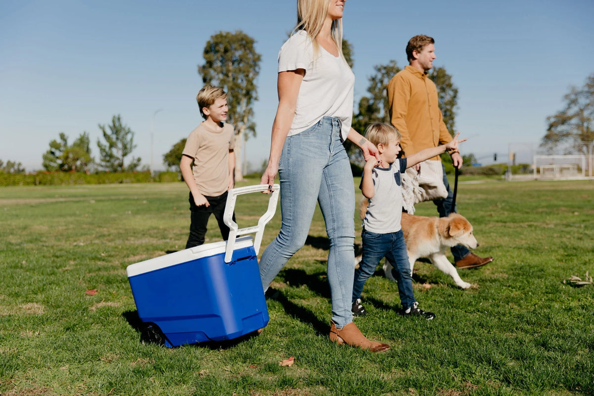 38 QT. Hard-Sided Ice Chest Cooler with Wheels, Blue U78128