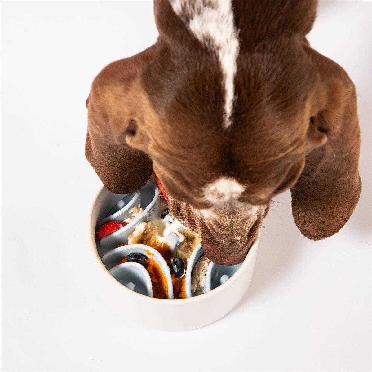 Silicone Bowl Insert Dog Feeding Mat C6045