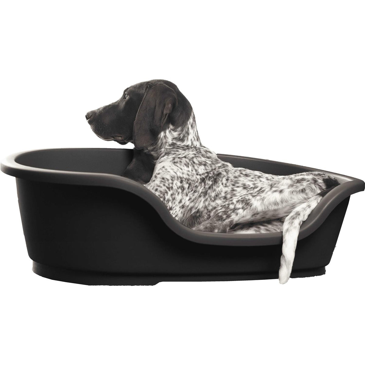 Pet Bed W3928