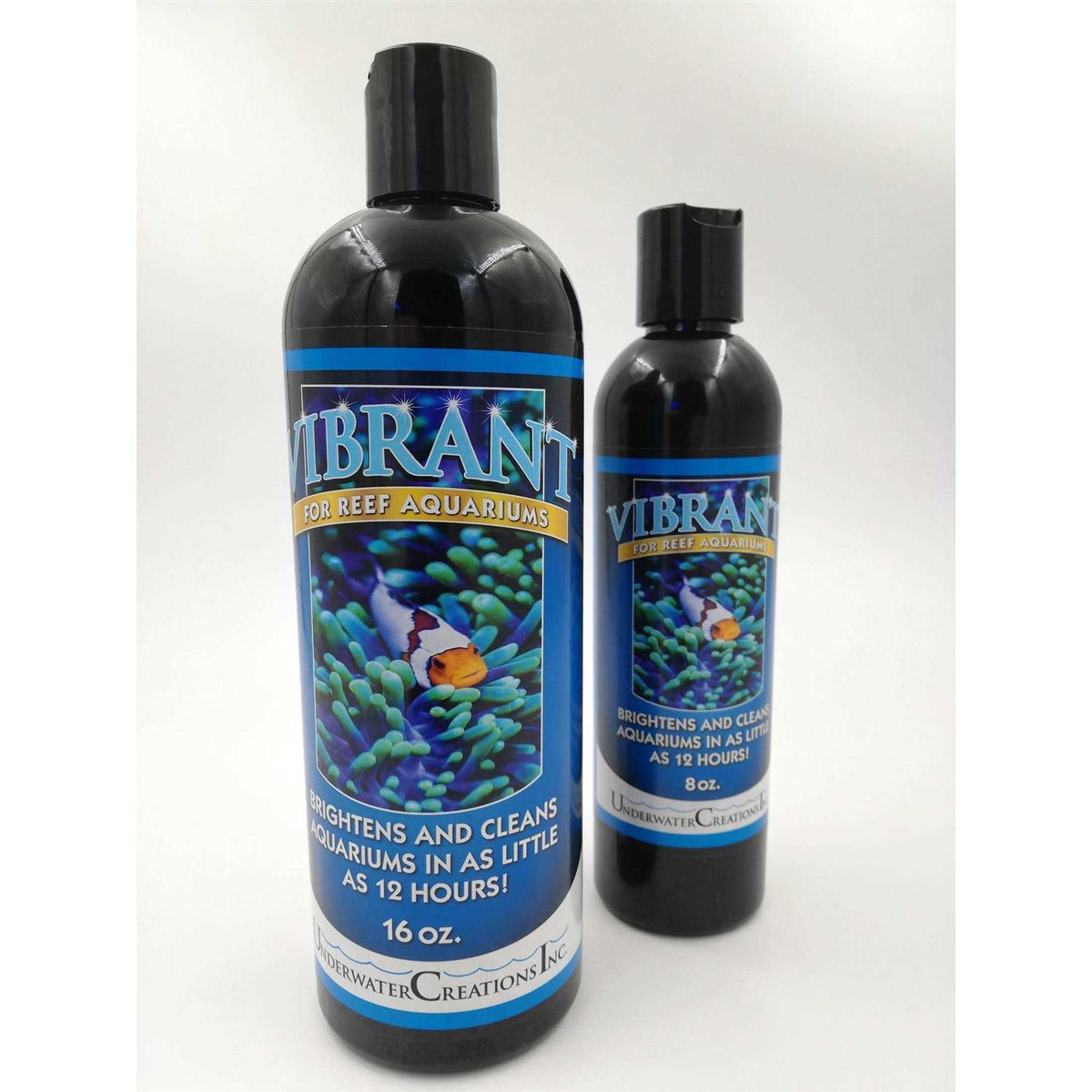 Vibrant Reef B768