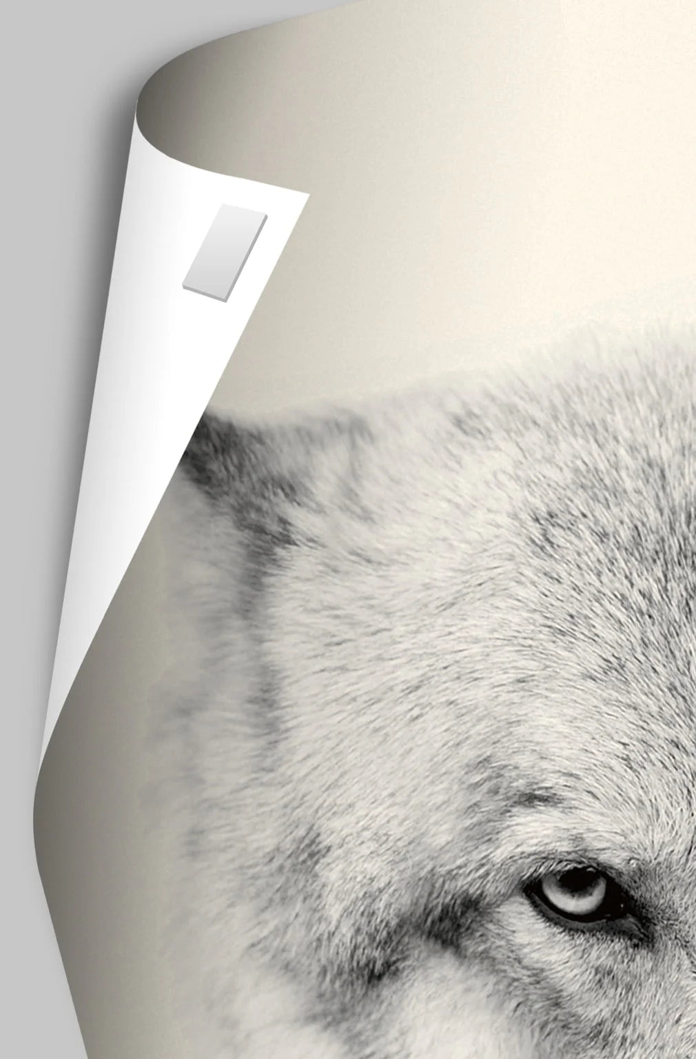 Wall Poster 22.375 x 34 U12120