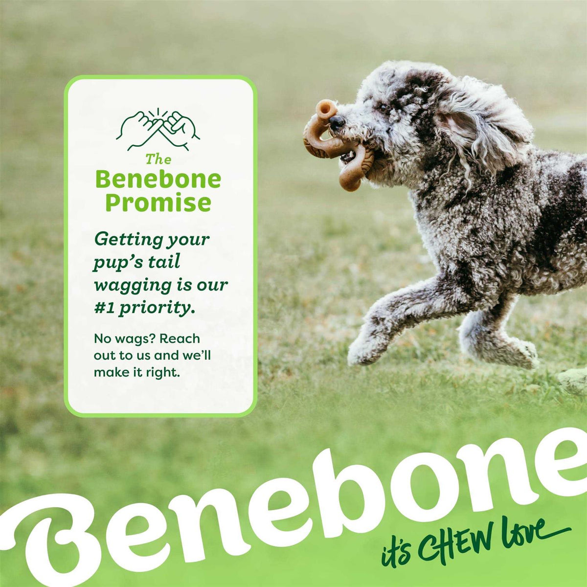 Dog Chew A764468