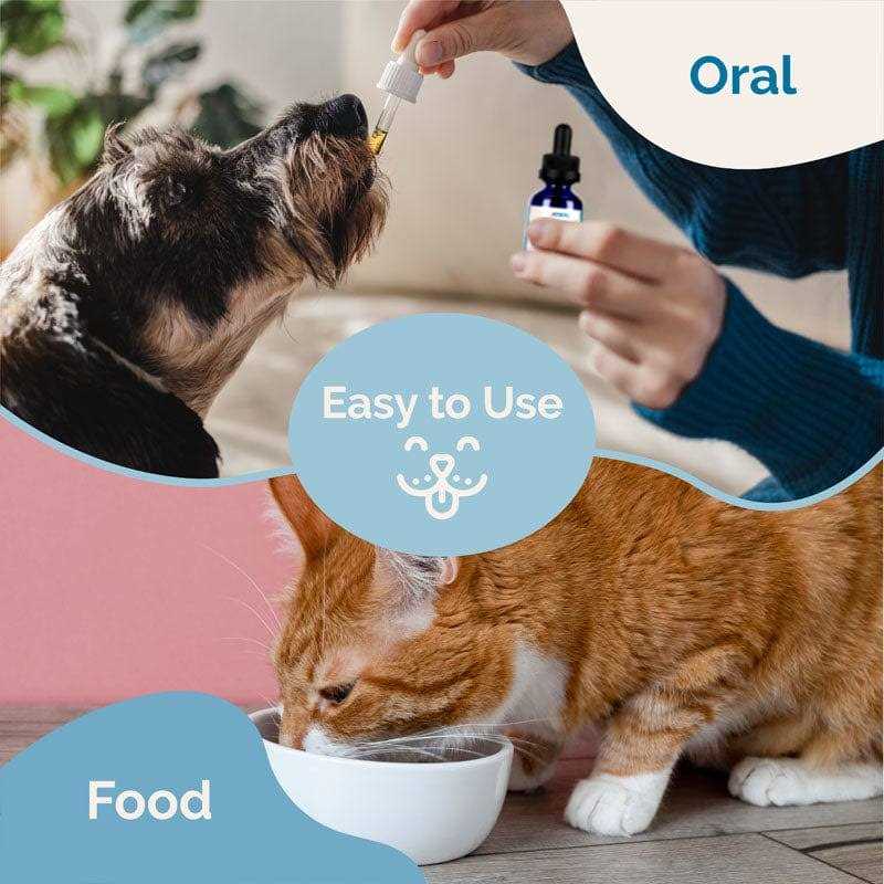 Herbal Dewormer for Dogs E9970