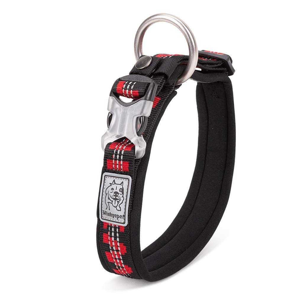 Dog Collar W5641