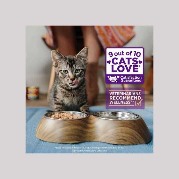 Grain Free Wet Cat Food N39869