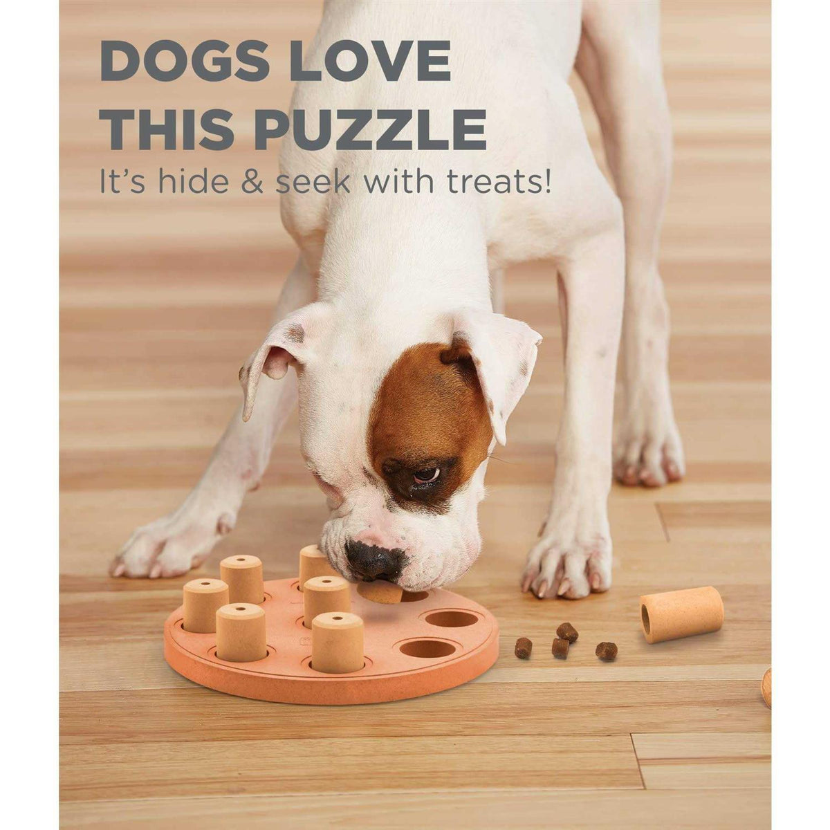 Dog Puzzle S822686