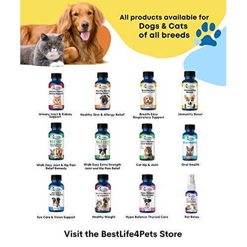 All-Natural Skin and Allergy Relief For Cats F36542