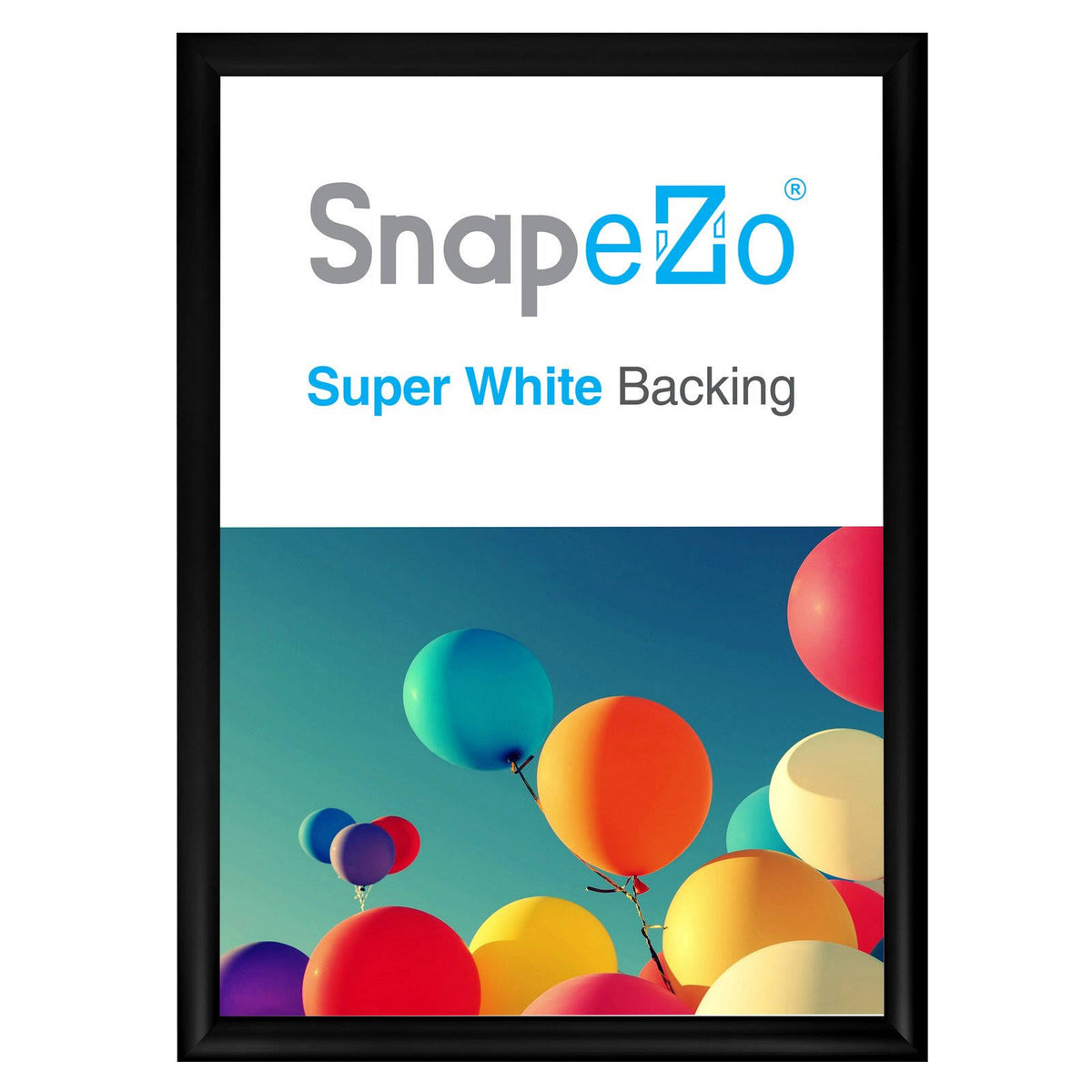 Black Snap Frame P998248