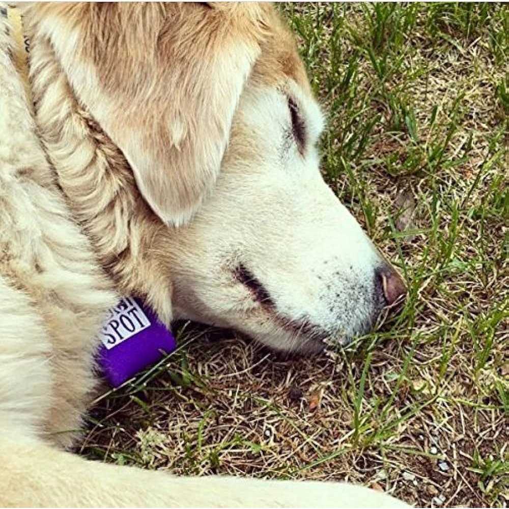 Pet Tag Silencer F736