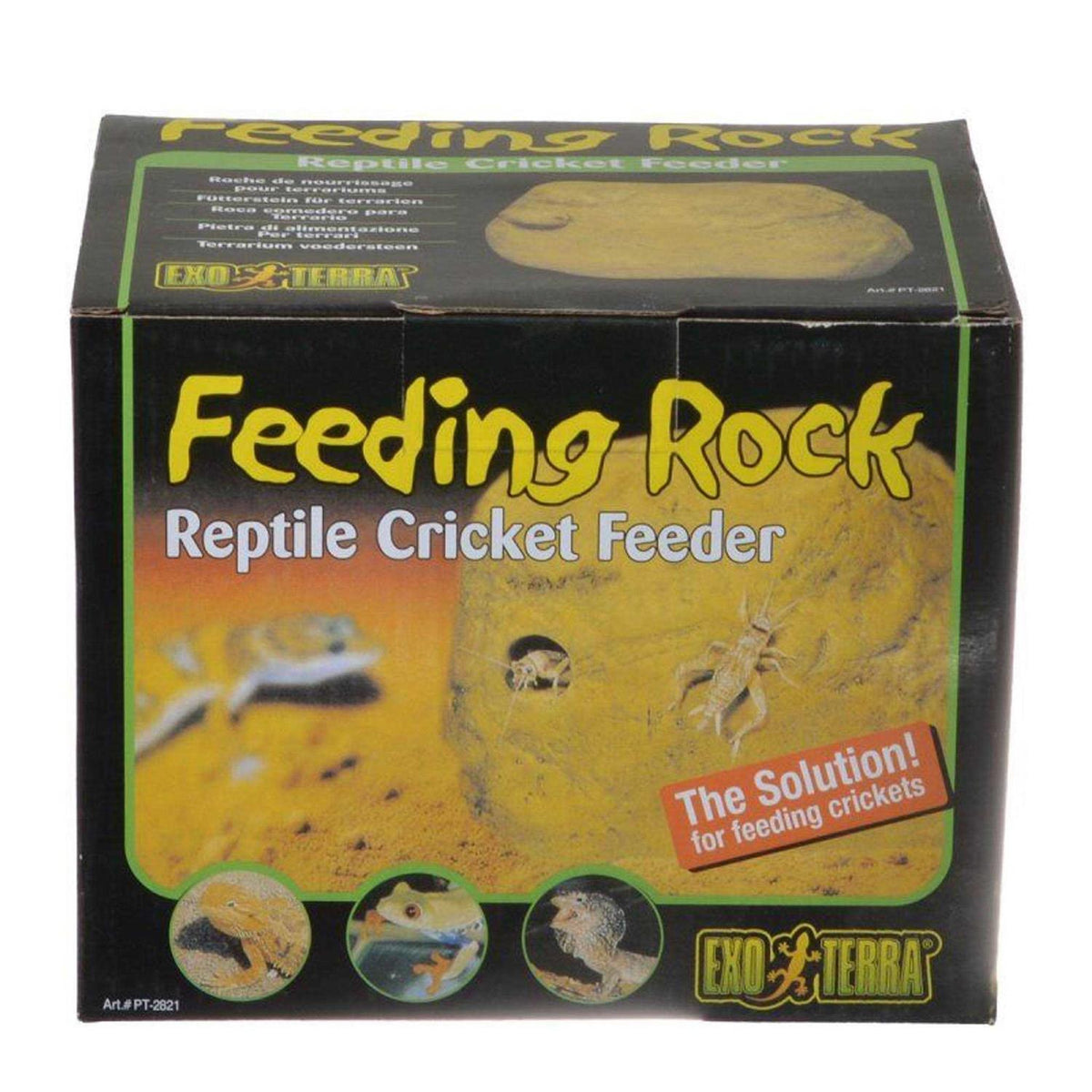 Feeding Rock Reptile Feeder I470