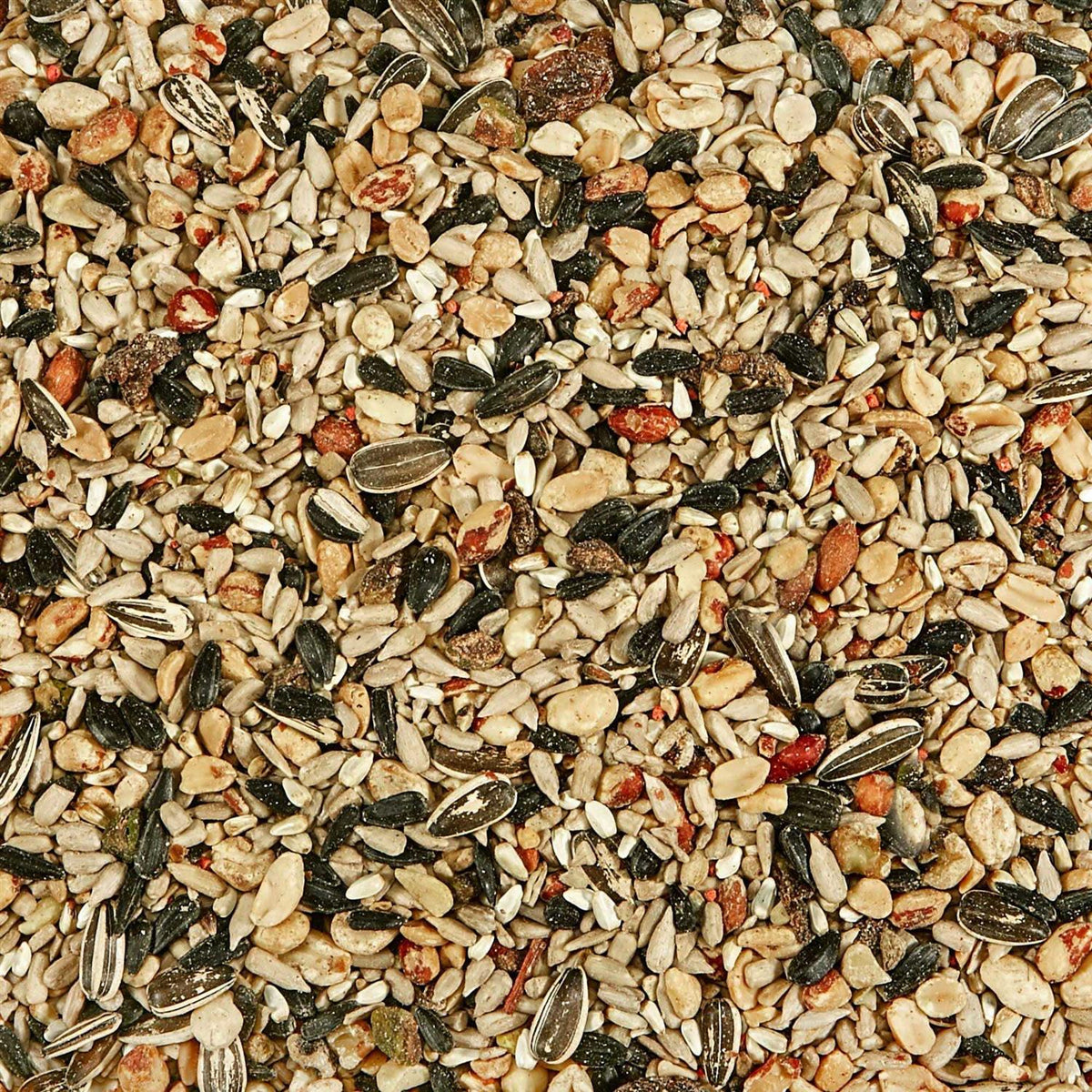 Nut & Fruit Blend Wild Bird Food R281
