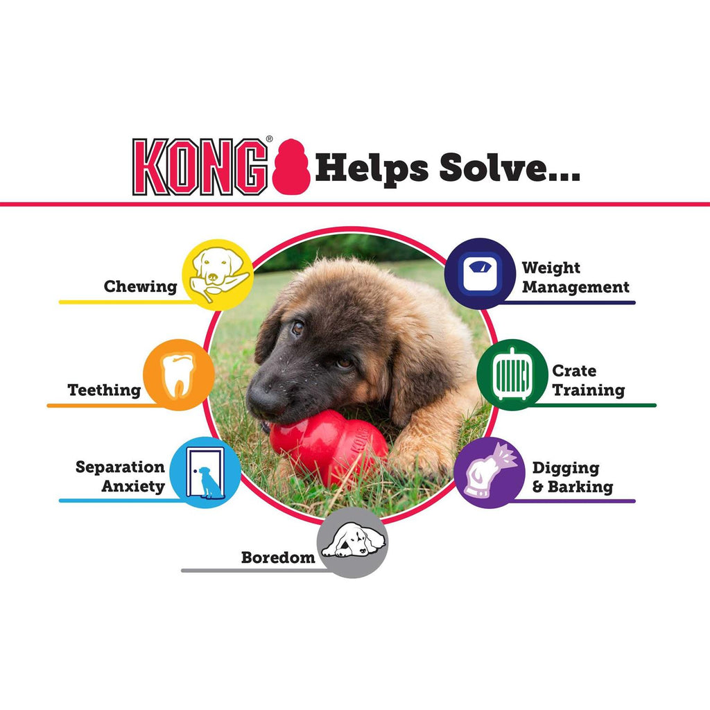 KONG Dog Toy X491