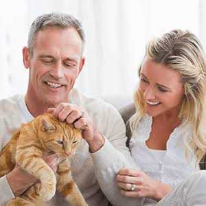 All-Natural Skin and Allergy Relief For Cats F36542