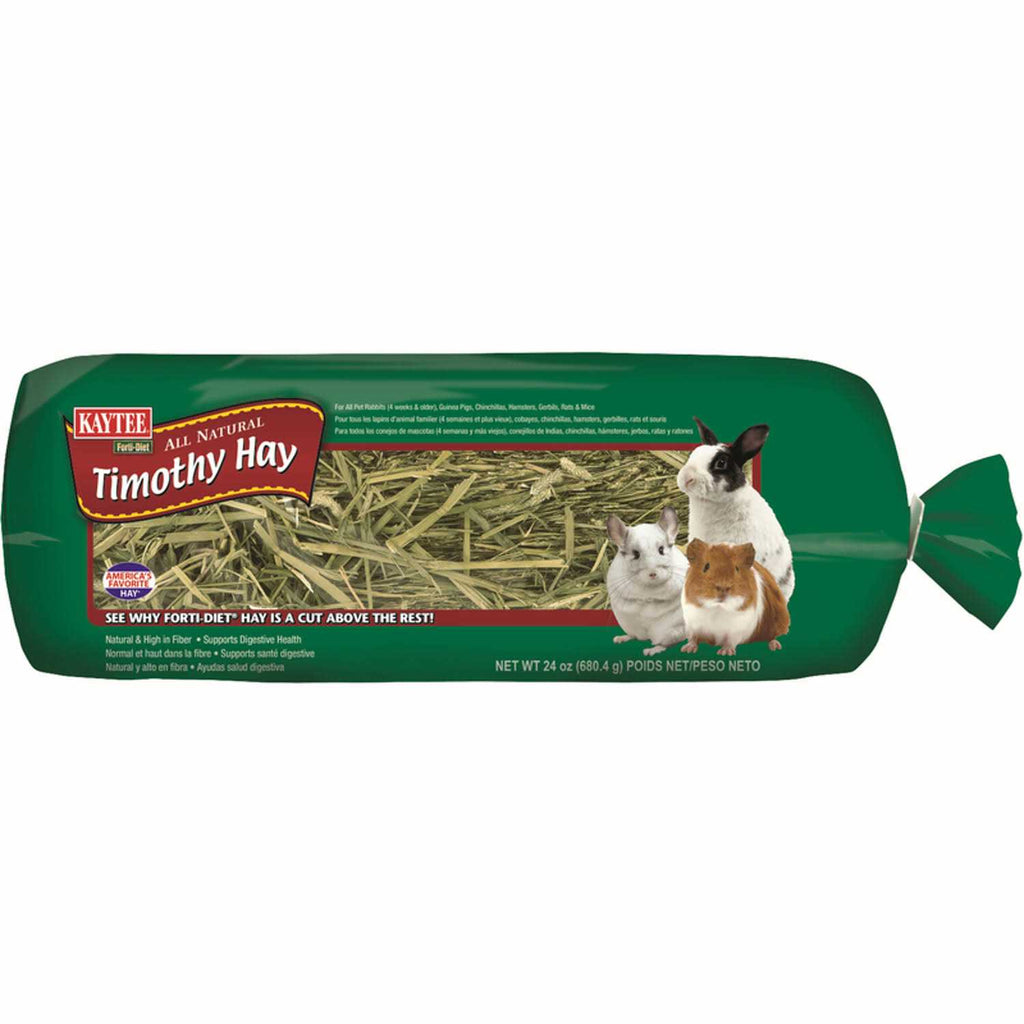 Timothy Hay O2930