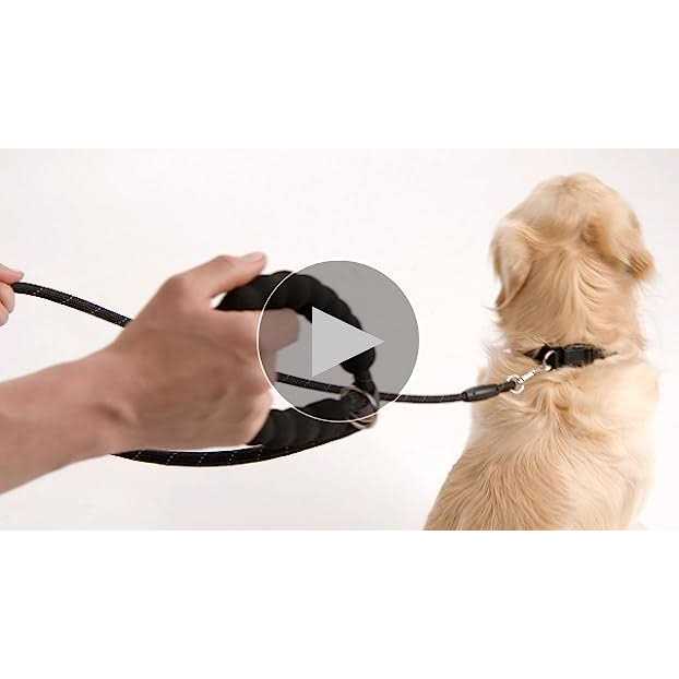 Heavy Duty Reflective Dog Leash Y38931