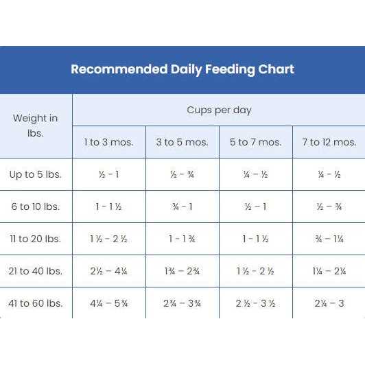 High Protein Natural Puppy Dry Dog Food Chicken D6746