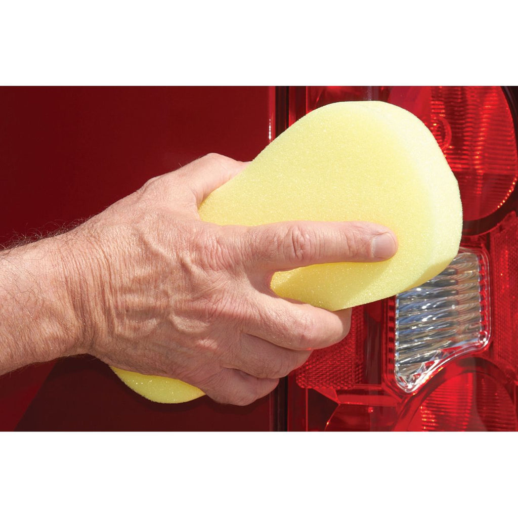 Bone Sponge J70714