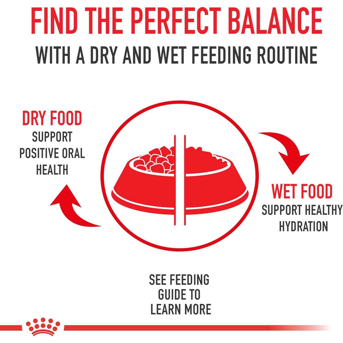 Adult Dry Dog Food L314448