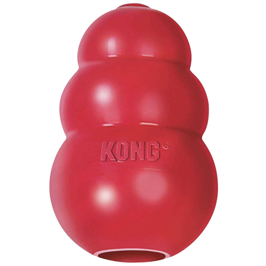 KONG Dog Toy X491