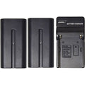 2-Pack Lithium-Ion Batteries with Charger Z22408