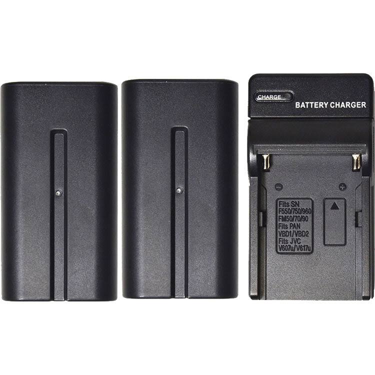 2-Pack Lithium-Ion Batteries with Charger Z22408
