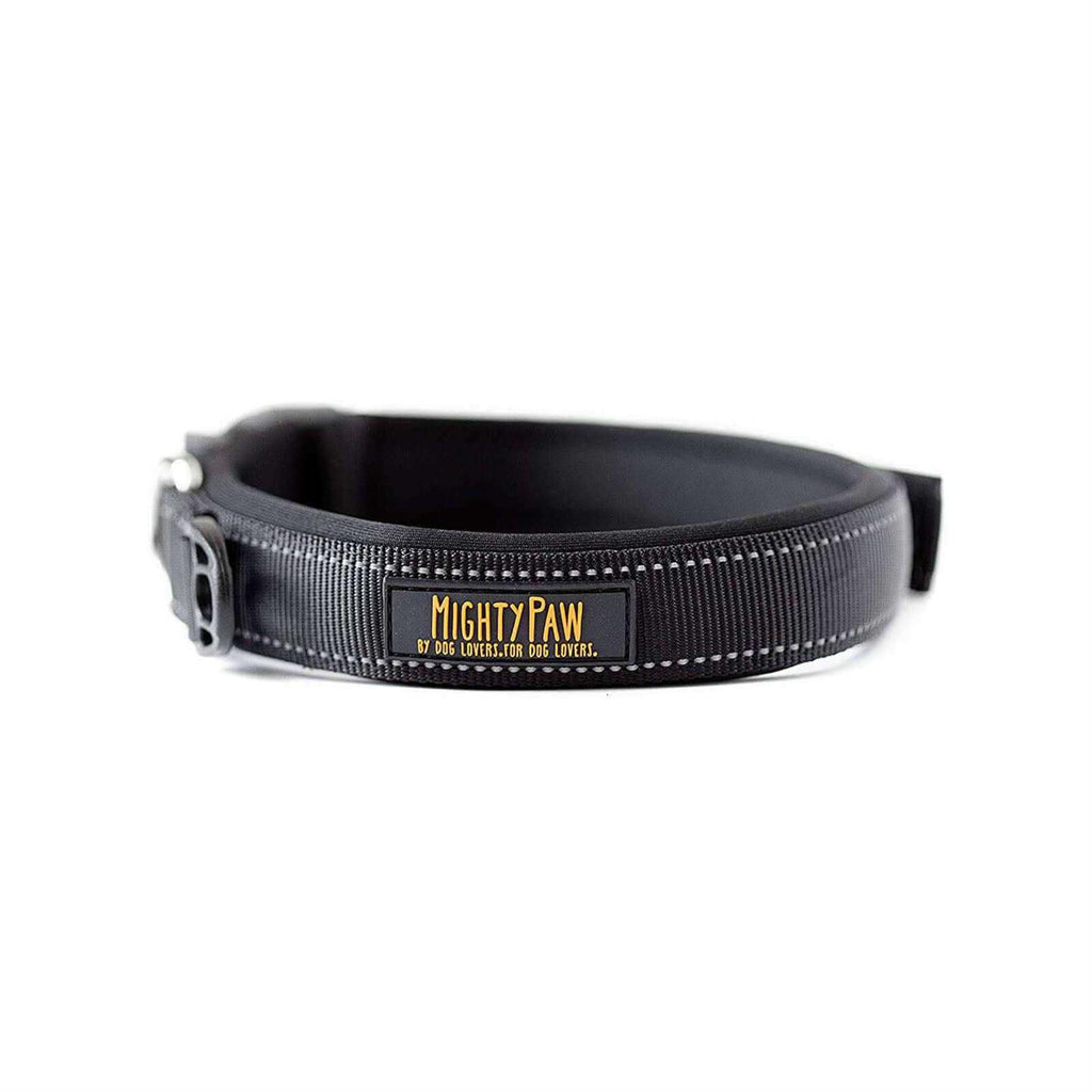 Dog Collar D379518