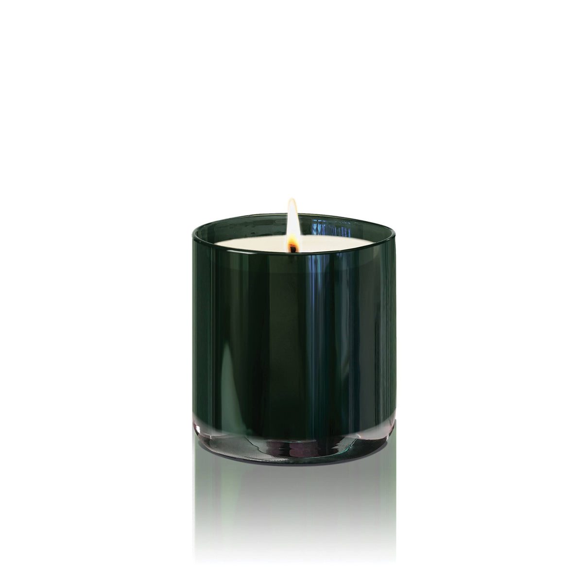 6.5 oz Candle H595
