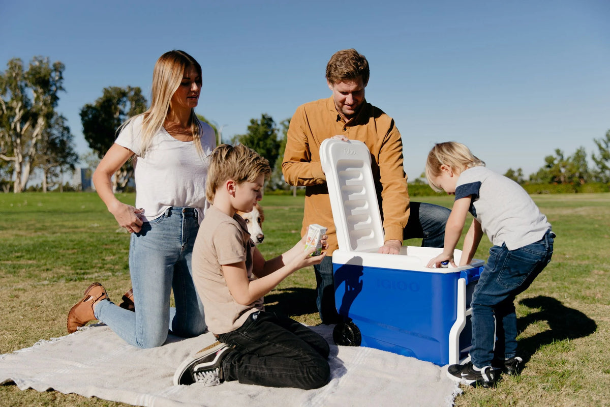 38 QT. Hard-Sided Ice Chest Cooler with Wheels, Blue U78128