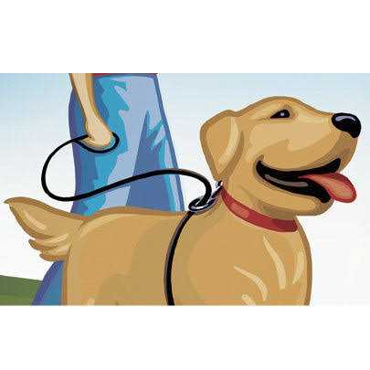 No Pull Dog Leash G2444