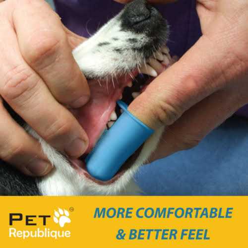 Dog & Cat Finger Toothbrush X280