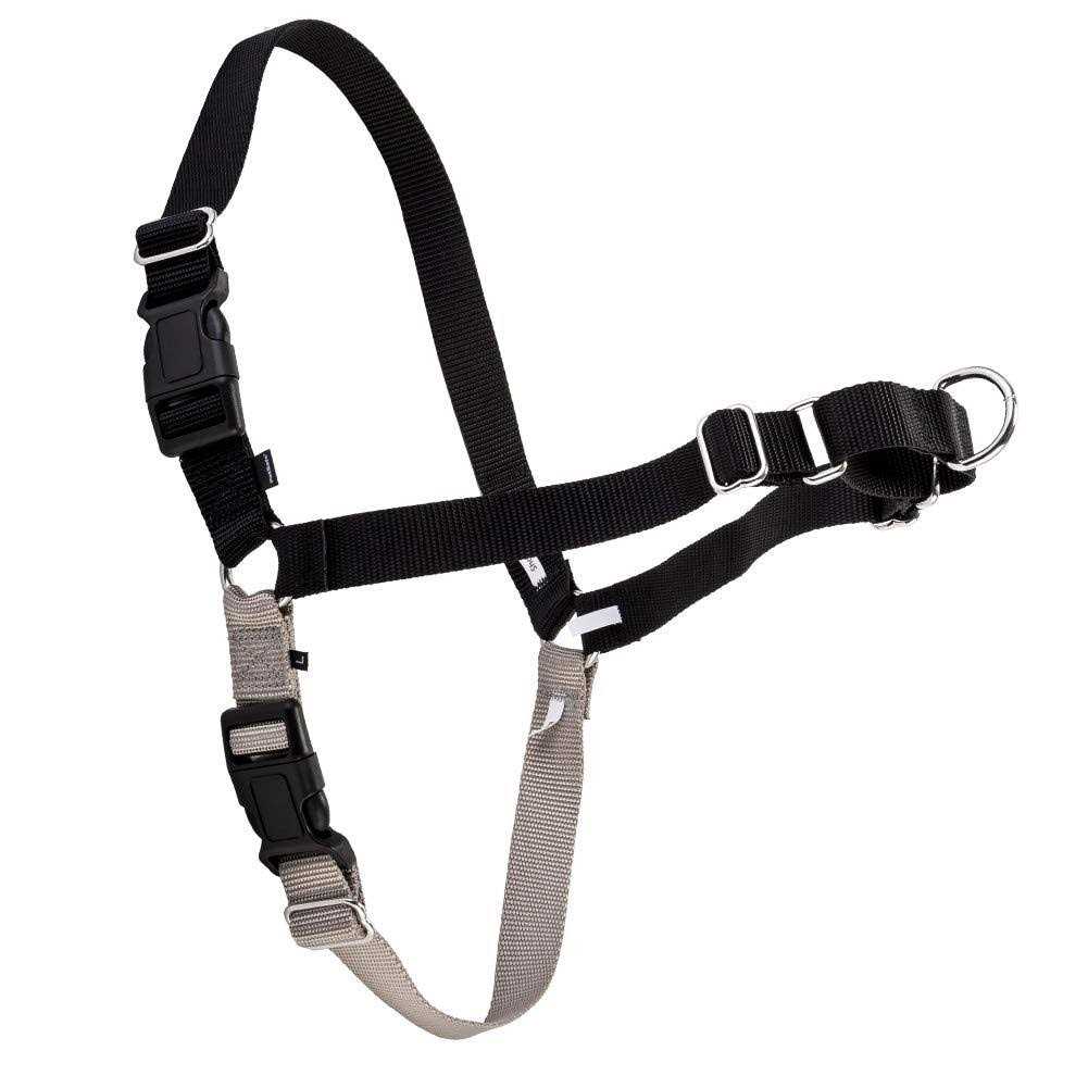 Dog Harness X132850