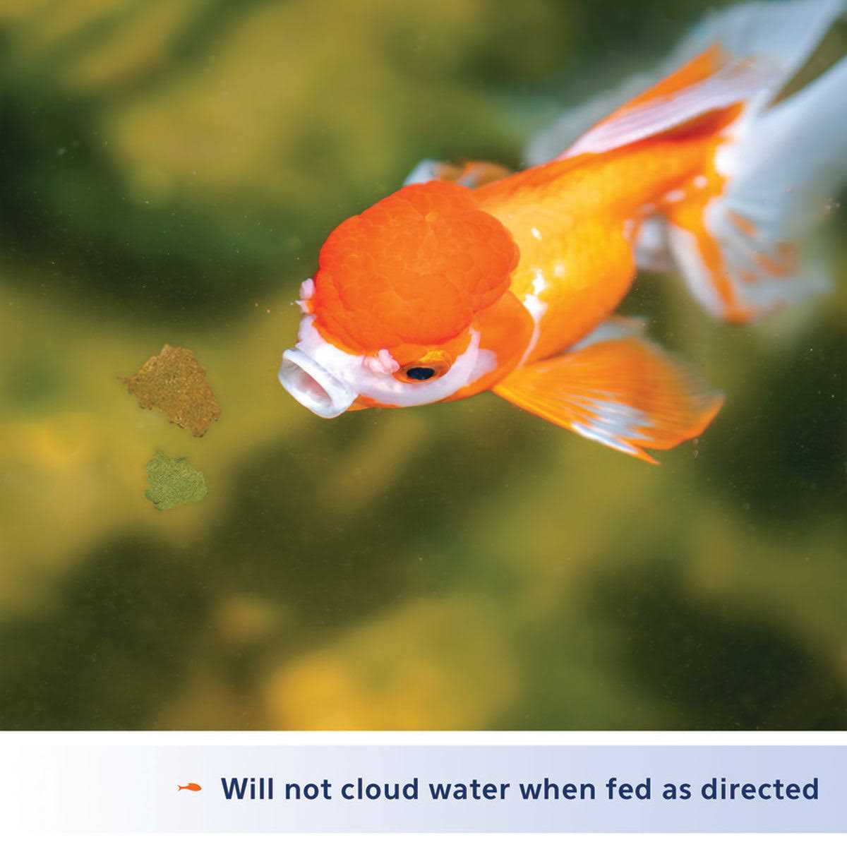 Goldfish Flakes W129873