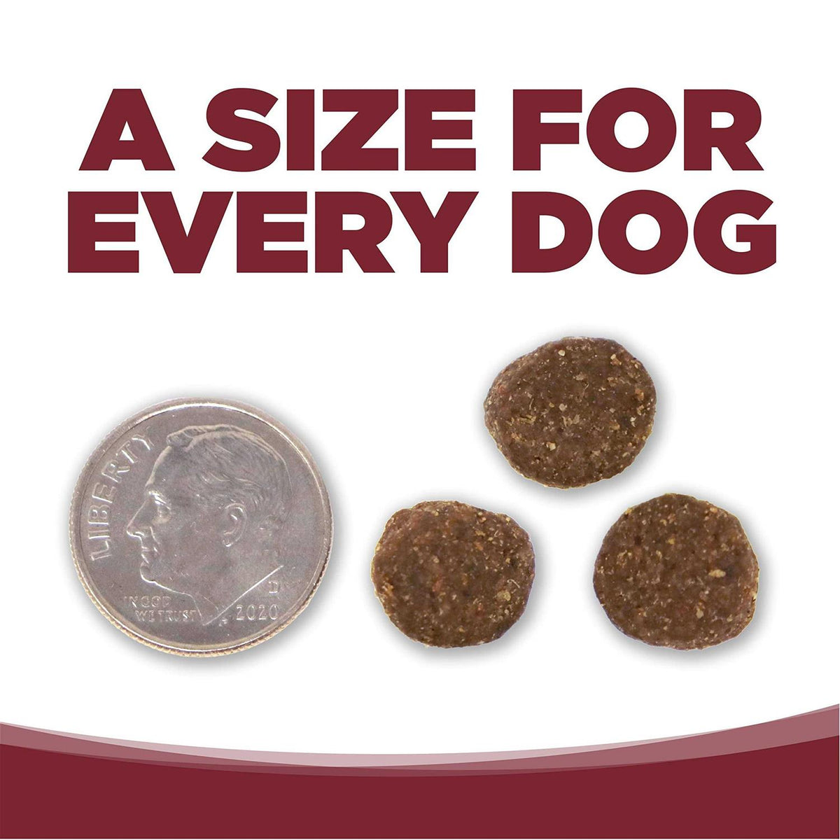Beef Rice Dry Dog Food H748310