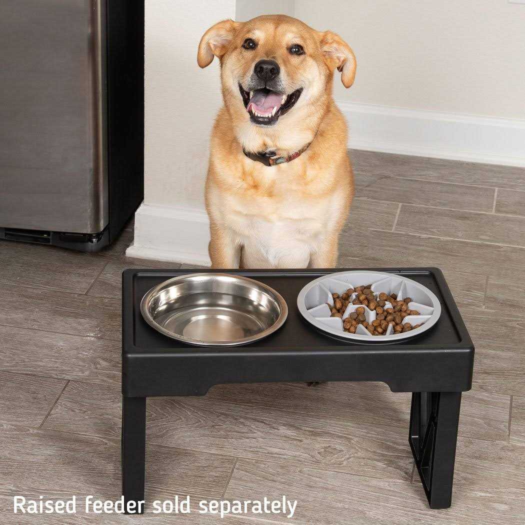 Slow Feeder Dog Bowl with Feeder Holes X697