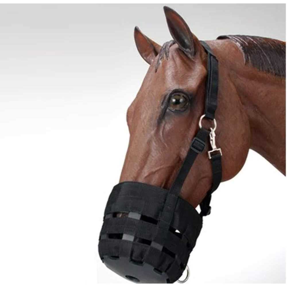 Nylon Halter Grazing Muzzle A50780