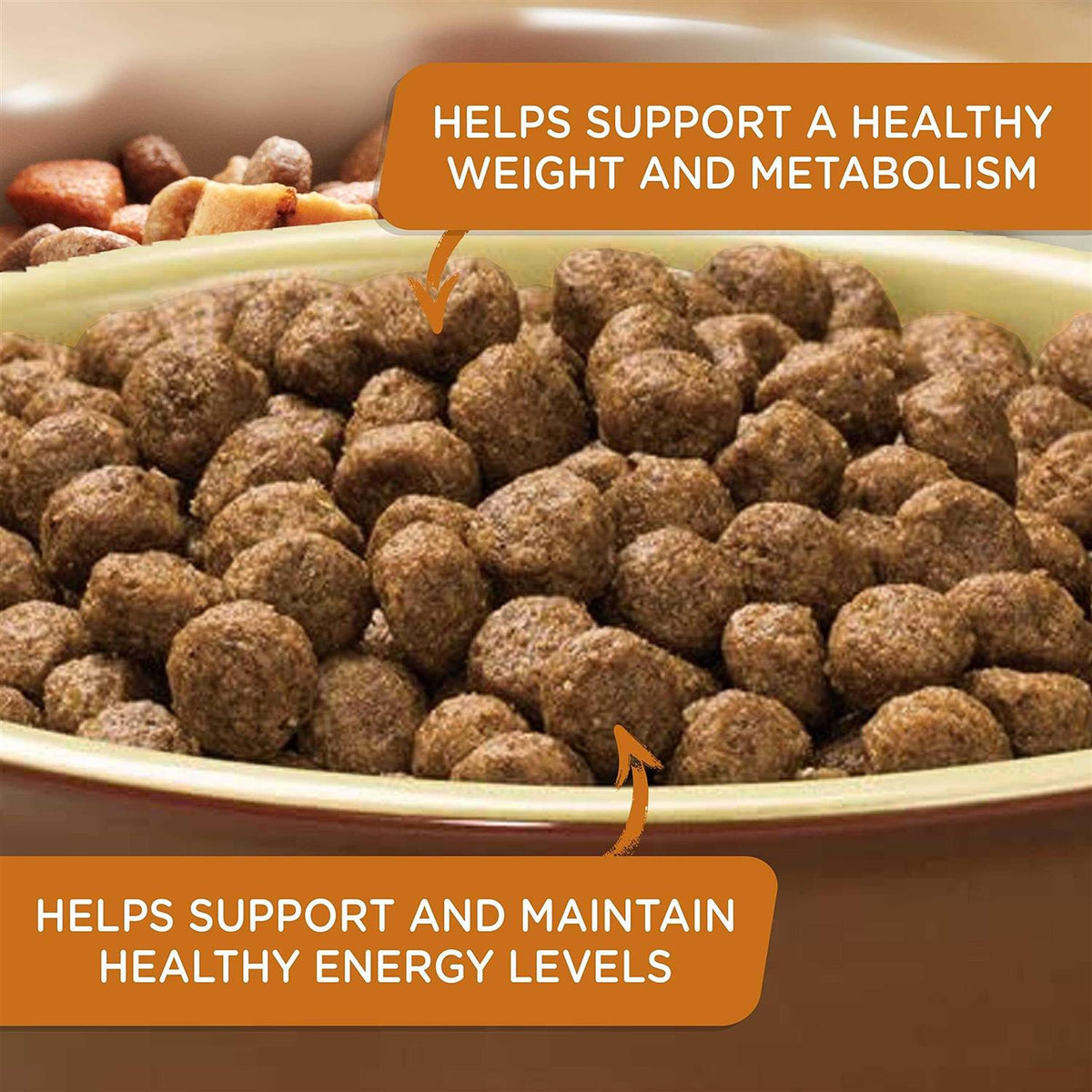 Turkey Brown Rice Dry Dog Food P425965
